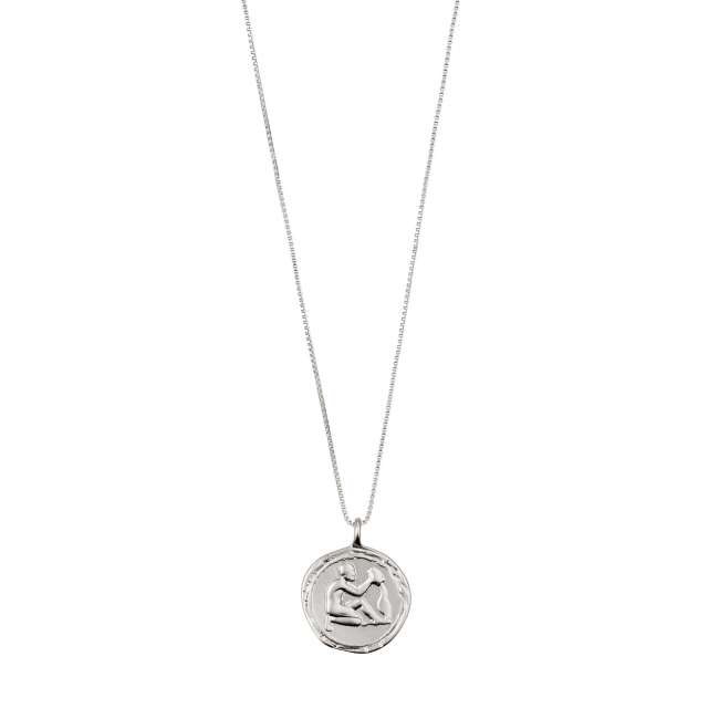 Priser på Pilgrim VANDMAND recycled stjernetegns-halskæde,sølvbelagt