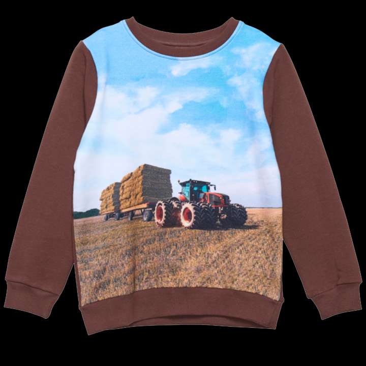 Priser på Minymo Drenge Sweatshirt - Potting Soil - 110