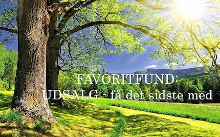 FAVORITFUND: Godbidder fra udsalget