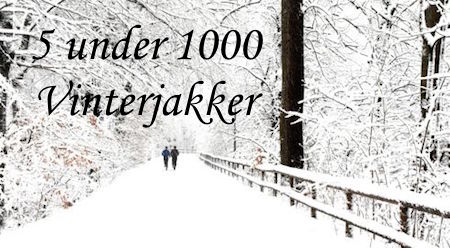 5 UNDER 1000: vinterjakker